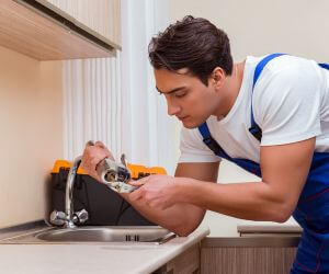 About Plumbers Pros Theodosia, MO